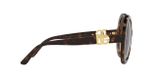 slnečné okuliare Dolce Gabbana DG6194U 502/13
